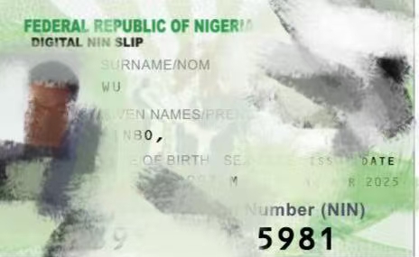 NIN.jpg