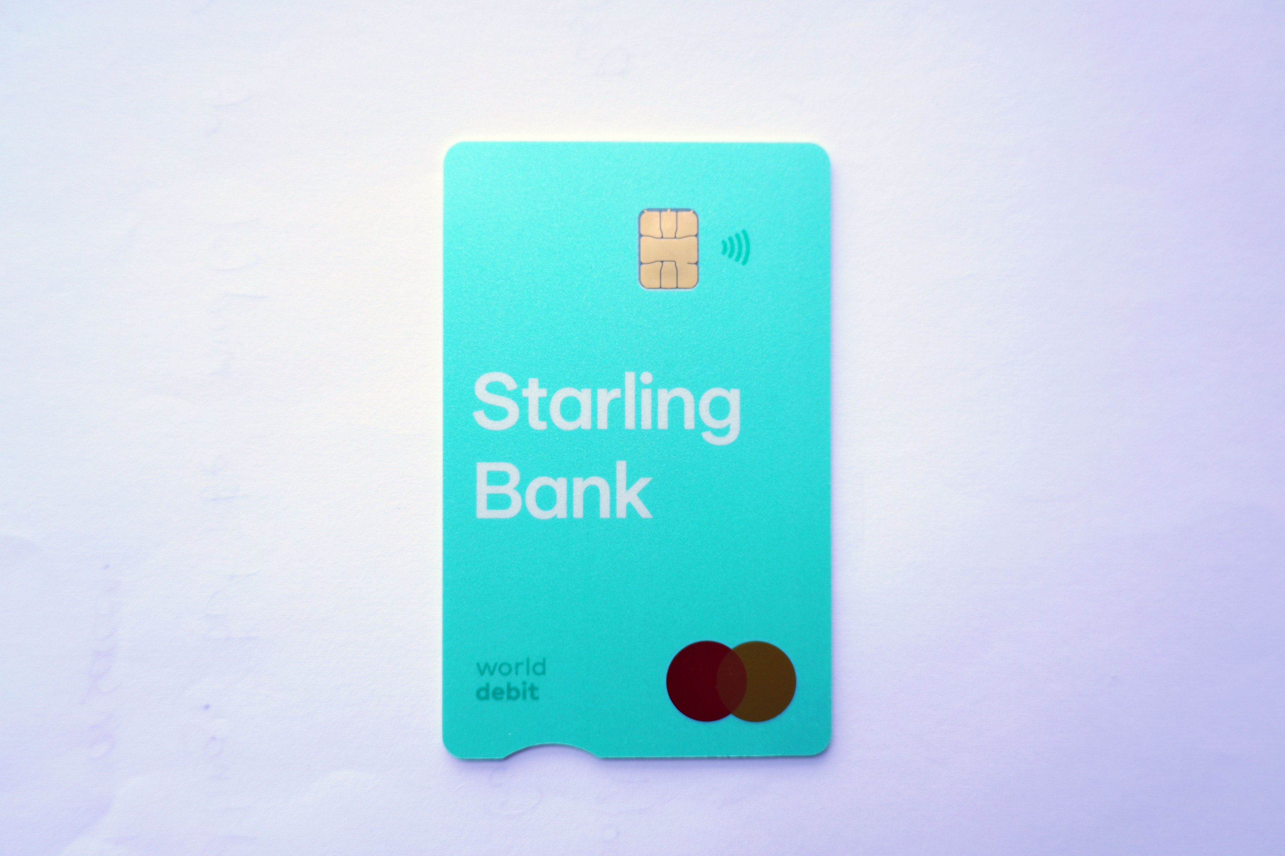 Starling - 01.jpg
