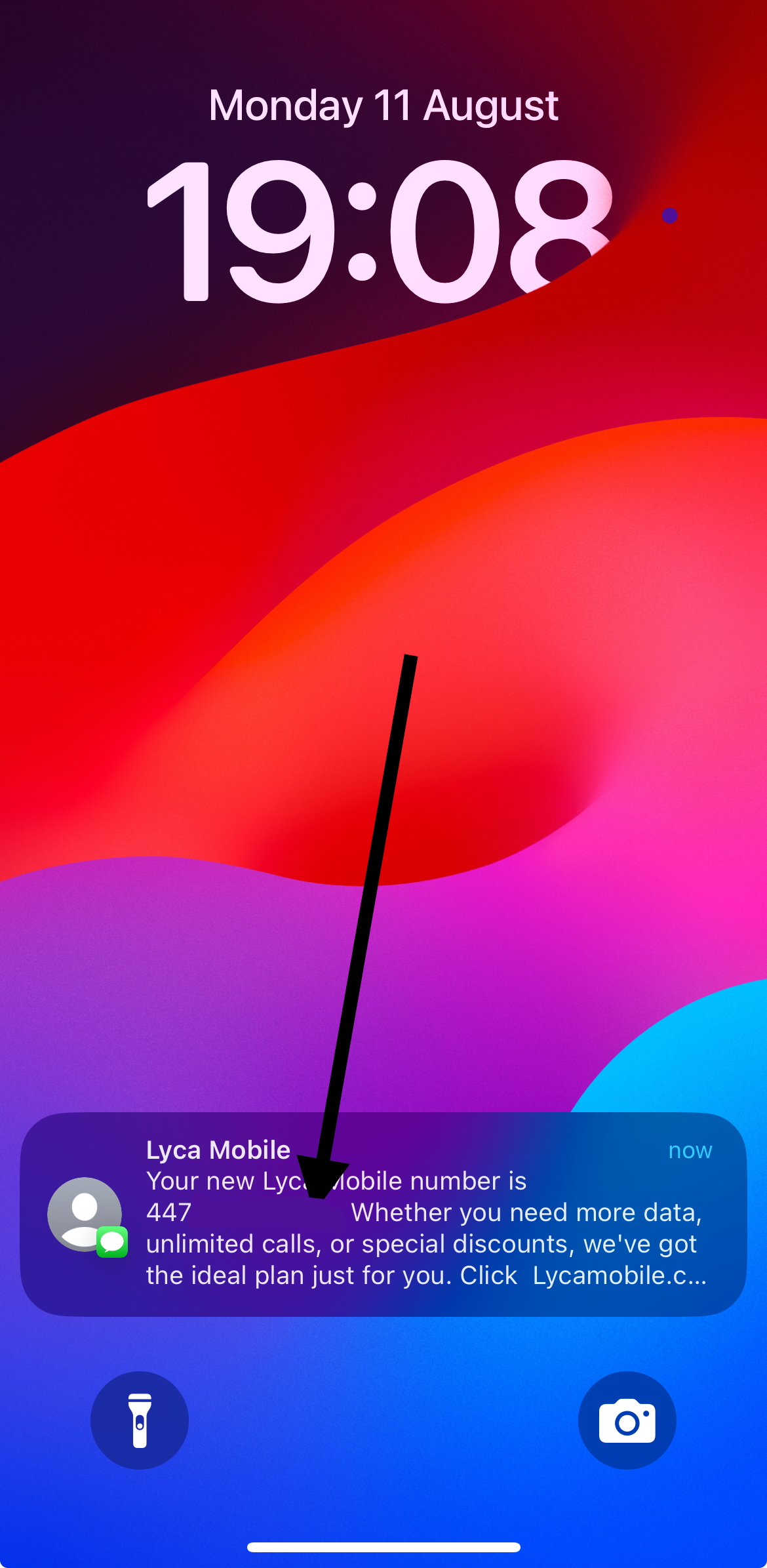12Lyca-number.jpeg